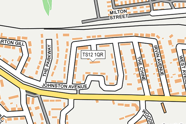 TS12 1QR map - OS OpenMap – Local (Ordnance Survey)