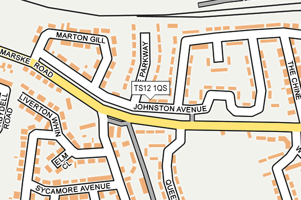 TS12 1QS map - OS OpenMap – Local (Ordnance Survey)