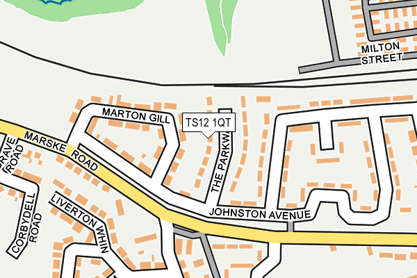 TS12 1QT map - OS OpenMap – Local (Ordnance Survey)