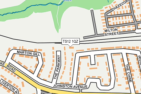 TS12 1QZ map - OS OpenMap – Local (Ordnance Survey)