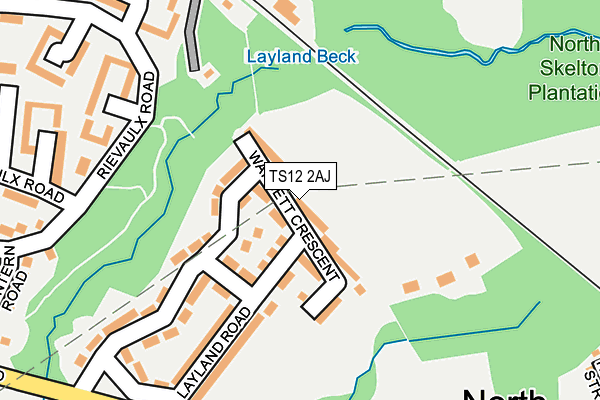 TS12 2AJ map - OS OpenMap – Local (Ordnance Survey)
