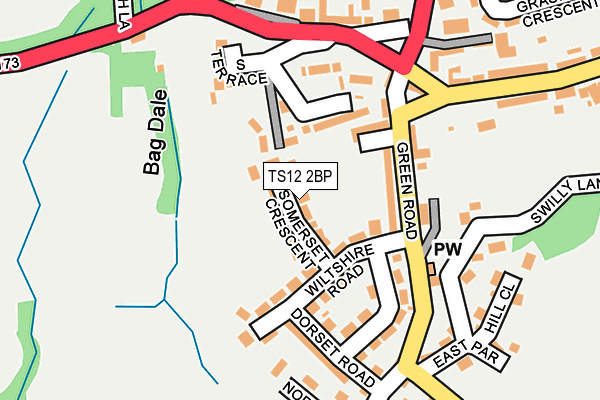 TS12 2BP map - OS OpenMap – Local (Ordnance Survey)