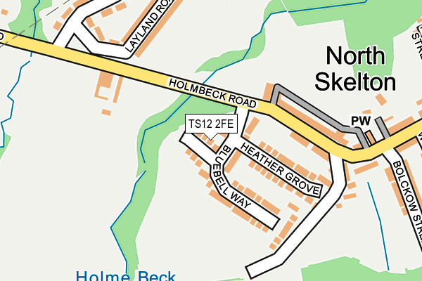 TS12 2FE map - OS OpenMap – Local (Ordnance Survey)