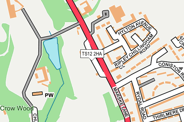 TS12 2HA map - OS OpenMap – Local (Ordnance Survey)