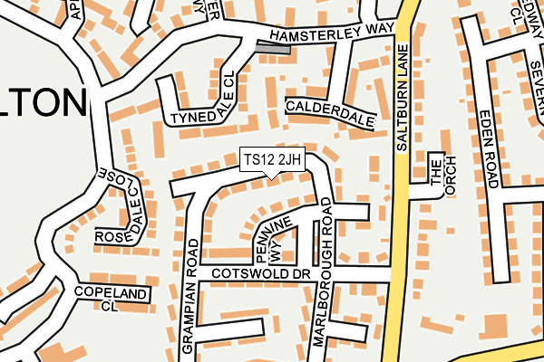 TS12 2JH map - OS OpenMap – Local (Ordnance Survey)