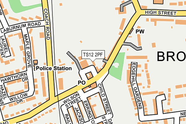 TS12 2PF map - OS OpenMap – Local (Ordnance Survey)