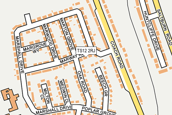 TS12 2RJ map - OS OpenMap – Local (Ordnance Survey)