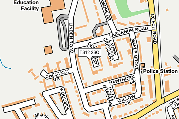 TS12 2SQ map - OS OpenMap – Local (Ordnance Survey)