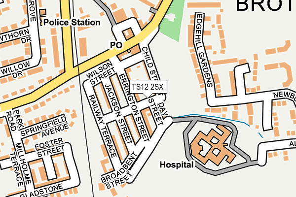 TS12 2SX map - OS OpenMap – Local (Ordnance Survey)
