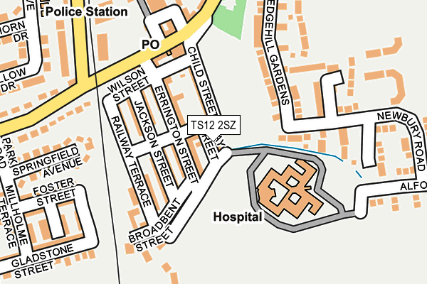 TS12 2SZ map - OS OpenMap – Local (Ordnance Survey)