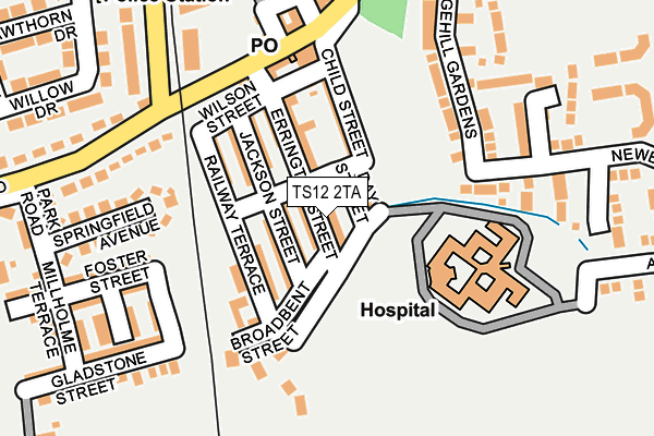 TS12 2TA map - OS OpenMap – Local (Ordnance Survey)