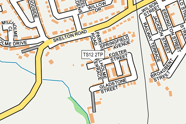 TS12 2TP map - OS OpenMap – Local (Ordnance Survey)