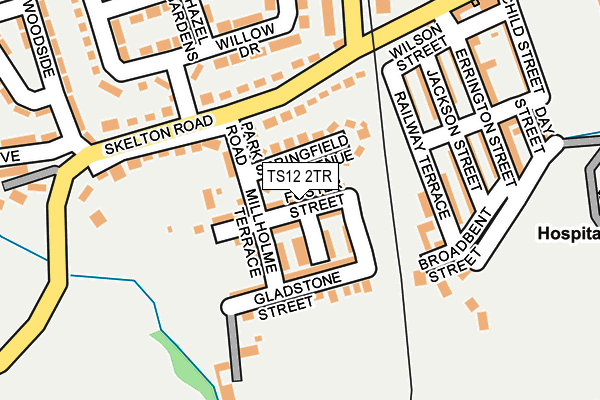 TS12 2TR map - OS OpenMap – Local (Ordnance Survey)