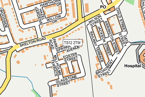 TS12 2TW map - OS OpenMap – Local (Ordnance Survey)