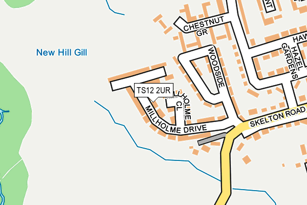 TS12 2UR map - OS OpenMap – Local (Ordnance Survey)