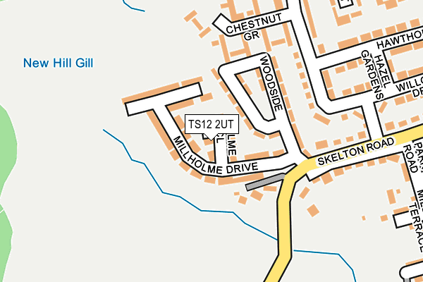 TS12 2UT map - OS OpenMap – Local (Ordnance Survey)