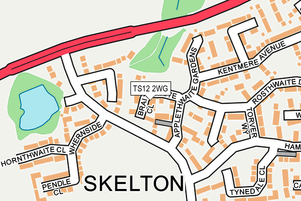 TS12 2WG map - OS OpenMap – Local (Ordnance Survey)