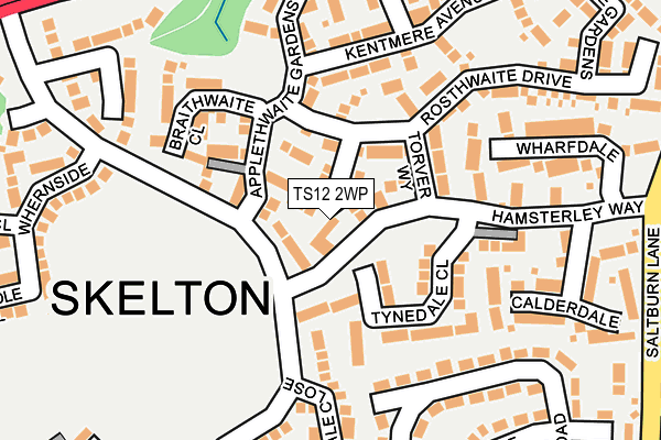 TS12 2WP map - OS OpenMap – Local (Ordnance Survey)