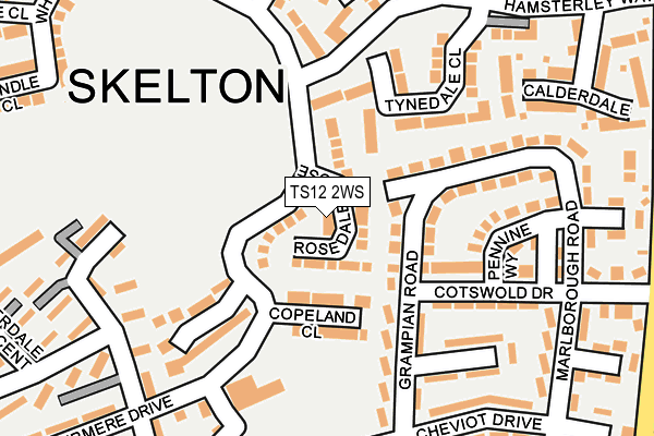 TS12 2WS map - OS OpenMap – Local (Ordnance Survey)