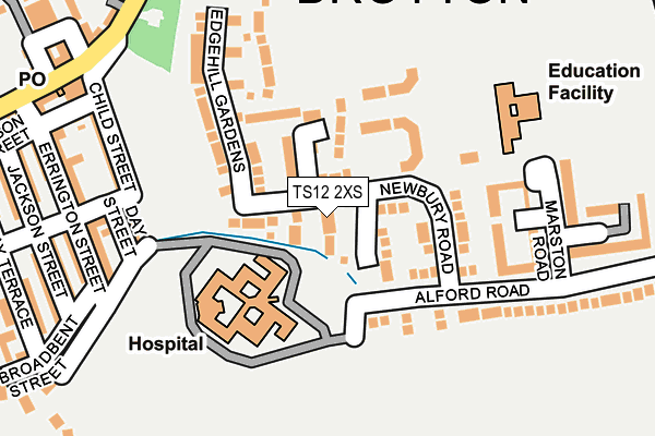 TS12 2XS map - OS OpenMap – Local (Ordnance Survey)
