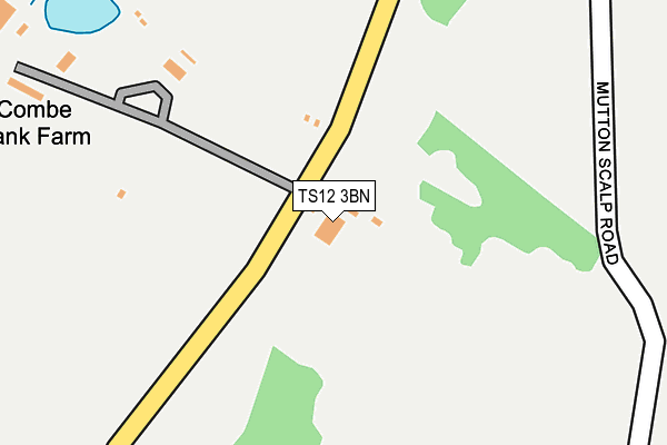TS12 3BN map - OS OpenMap – Local (Ordnance Survey)