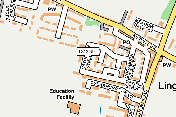 TS12 3DT map - OS OpenMap – Local (Ordnance Survey)