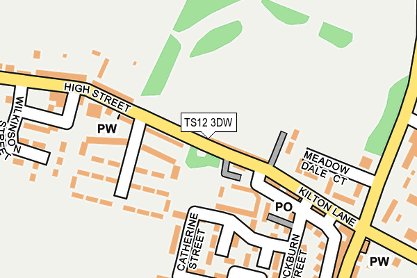 TS12 3DW map - OS OpenMap – Local (Ordnance Survey)
