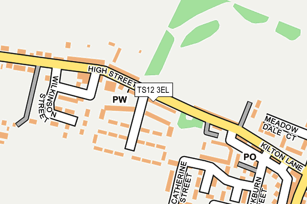 TS12 3EL map - OS OpenMap – Local (Ordnance Survey)