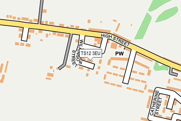 TS12 3EU map - OS OpenMap – Local (Ordnance Survey)