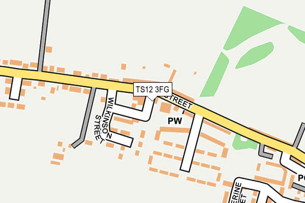 TS12 3FG map - OS OpenMap – Local (Ordnance Survey)