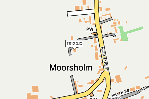 TS12 3JQ map - OS OpenMap – Local (Ordnance Survey)
