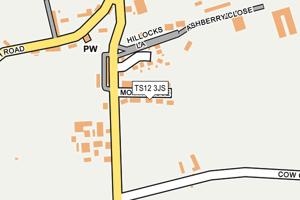 TS12 3JS map - OS OpenMap – Local (Ordnance Survey)