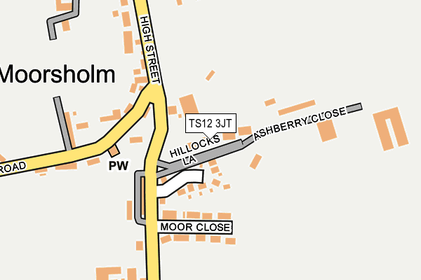 TS12 3JT map - OS OpenMap – Local (Ordnance Survey)