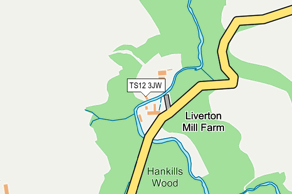 TS12 3JW map - OS OpenMap – Local (Ordnance Survey)