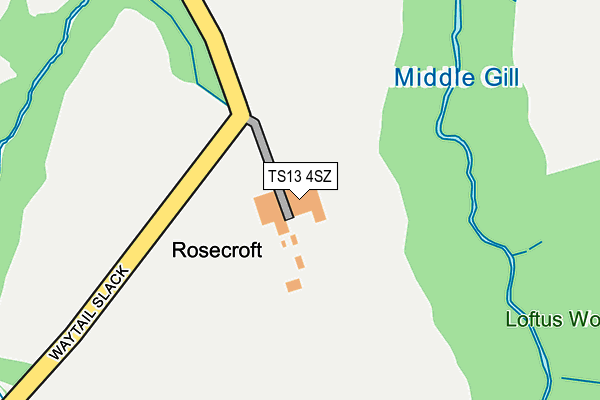 TS13 4SZ map - OS OpenMap – Local (Ordnance Survey)