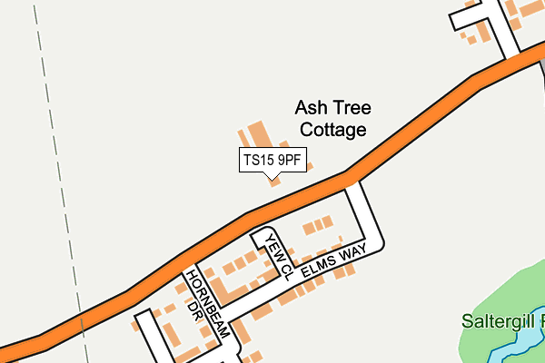 TS15 9PF map - OS OpenMap – Local (Ordnance Survey)