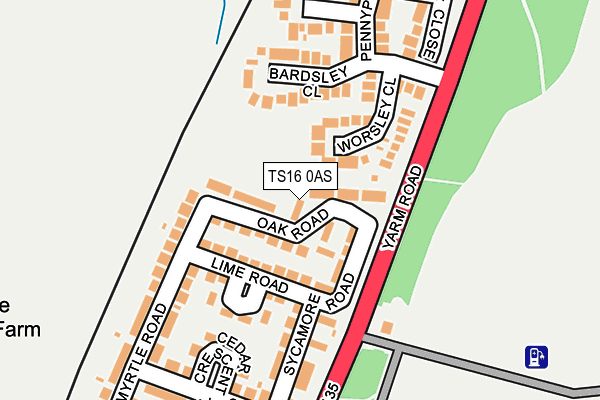 TS16 0AS map - OS OpenMap – Local (Ordnance Survey)