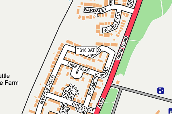 TS16 0AT map - OS OpenMap – Local (Ordnance Survey)