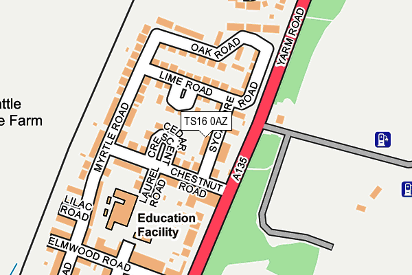 TS16 0AZ map - OS OpenMap – Local (Ordnance Survey)