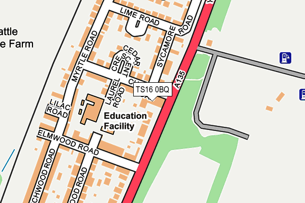 TS16 0BQ map - OS OpenMap – Local (Ordnance Survey)