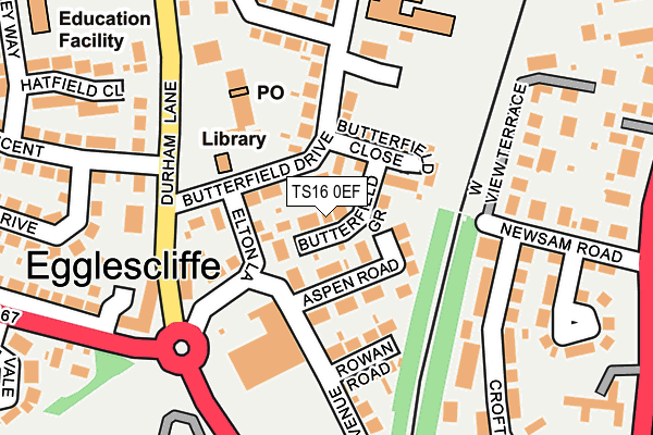 TS16 0EF map - OS OpenMap – Local (Ordnance Survey)