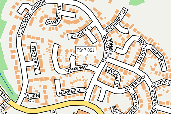 TS17 0SJ map - OS OpenMap – Local (Ordnance Survey)