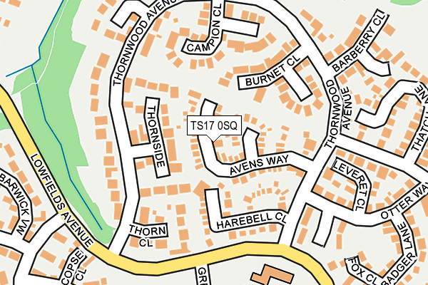 TS17 0SQ map - OS OpenMap – Local (Ordnance Survey)