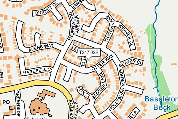 TS17 0SR map - OS OpenMap – Local (Ordnance Survey)