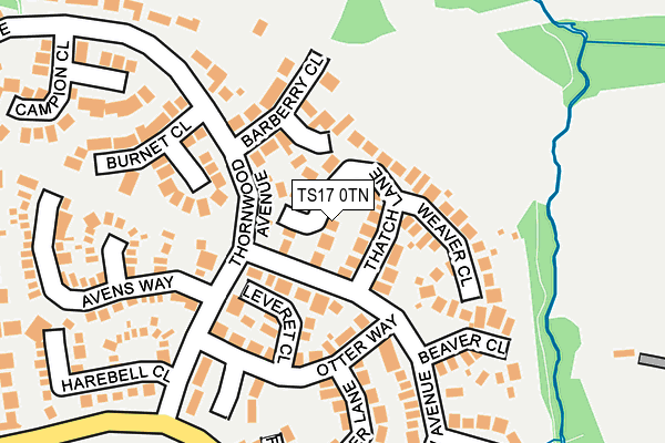 TS17 0TN map - OS OpenMap – Local (Ordnance Survey)