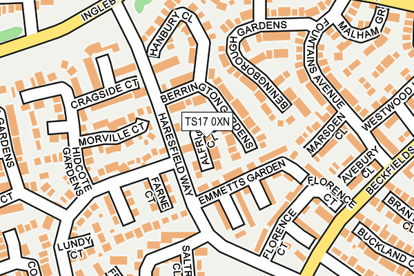 TS17 0XN map - OS OpenMap – Local (Ordnance Survey)