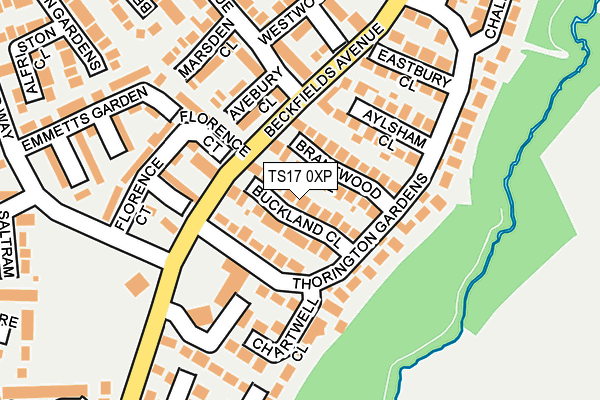 TS17 0XP map - OS OpenMap – Local (Ordnance Survey)
