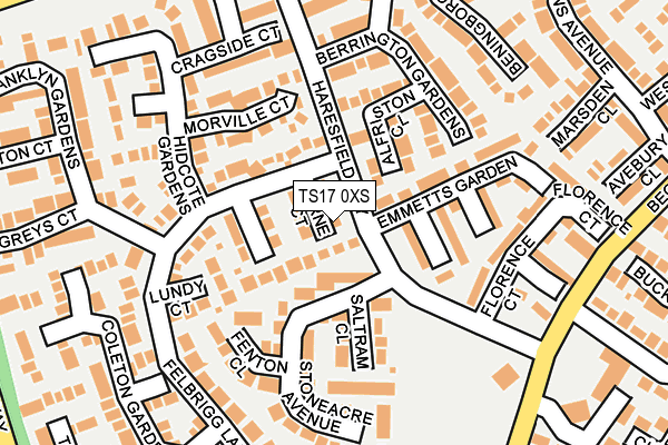 TS17 0XS map - OS OpenMap – Local (Ordnance Survey)