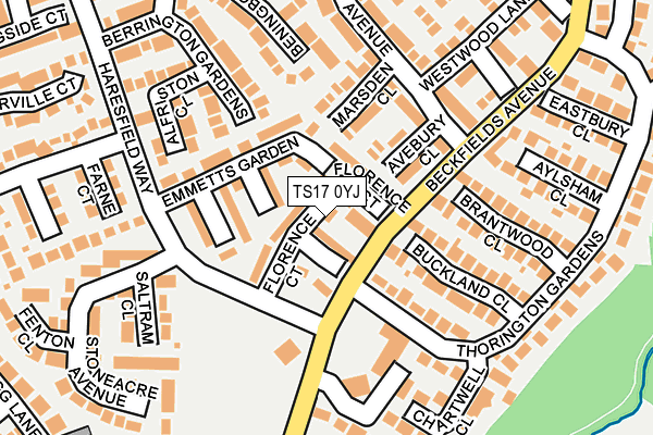 TS17 0YJ map - OS OpenMap – Local (Ordnance Survey)