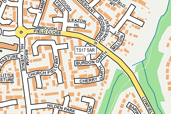 TS17 5AR map - OS OpenMap – Local (Ordnance Survey)